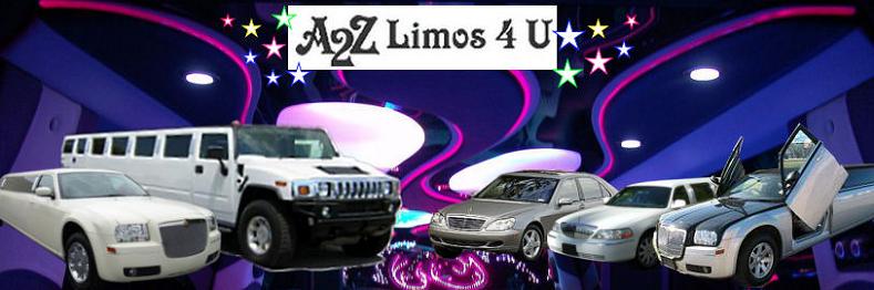 Limo hire Banner 